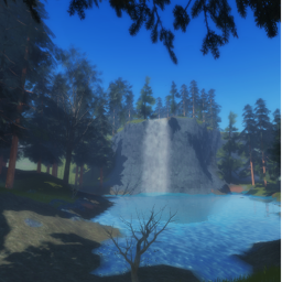 The Forest