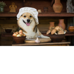 Chef Doggo's Kitchen