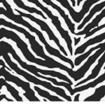 zebra fam!!