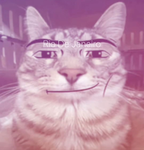 wuzuh