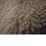 I will dotate robux if you join