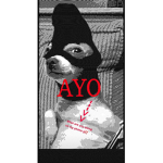 AYO gang2