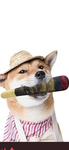 GamerFX'S Group
