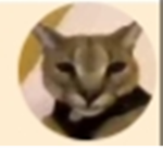 Kubixa ma przyjaciół