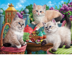The brownie Kittens