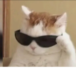 doNo bObUx