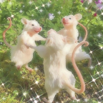 Jᴀᴠɪ’s ʙᴀsᴇᴍᴇɴᴛ
