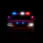 The California State RP Community