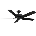 prince’s ceiling fan club