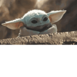 the baby yoda society