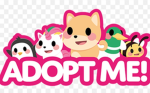 Gracie_lovesanimals