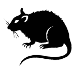 Fat Rat Productions Fan Club