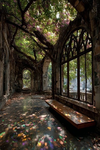The Graveward
