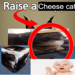 Raise a cheese cat