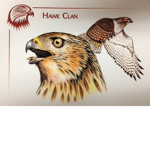 ~:Hawk Clan:~