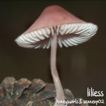 liliess