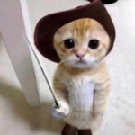 总