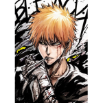 Ichigo's training session
