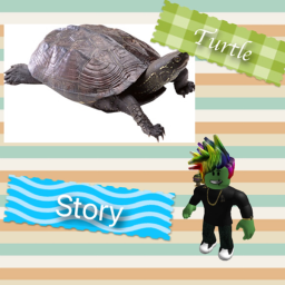Turtle Story