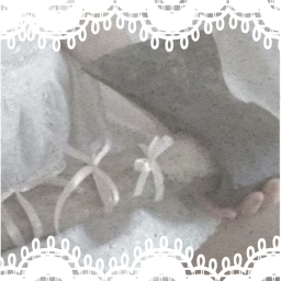 ✧˚