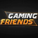 The Friendly Gamer Group