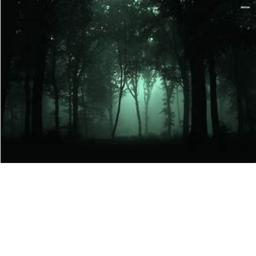 lost tape: The Dream