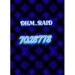 DHM_RAID