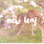 New Leaf