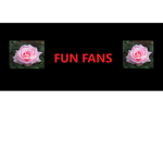 FUN T OWN