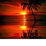 Sunset Coast Cruise Line
