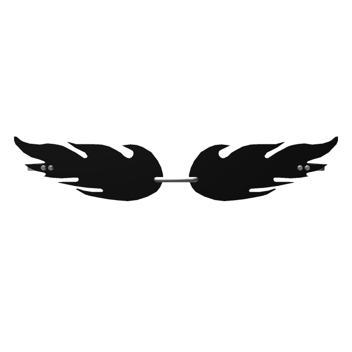 Black Flame Sunglasses