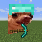 Euphoria SMP Official Group