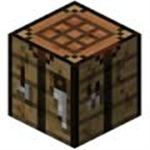 The Minecraft Party
