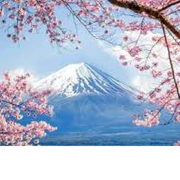 Open world japan