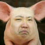 아일랜드 팬 클럽