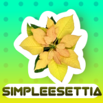 Point Set tia's Petal