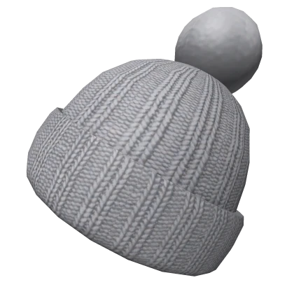 Gray Fall Basic Beanie | Roblox Item - Rolimon's