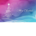 The Christmas Party Group