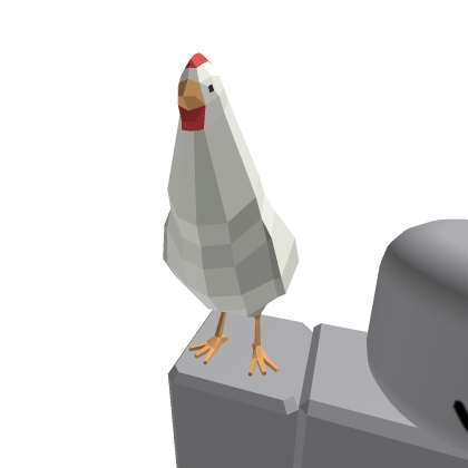 Chicken sholder pet