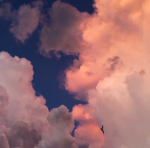 Cuppa Cloud Cafe