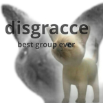 disgracce