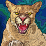 Tiger by ari