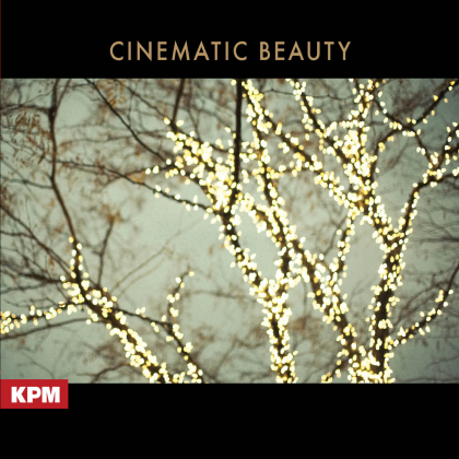 A Modern Fairytale Roblox music