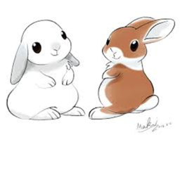 The Vanilla Bunny Cafe'
