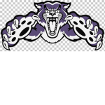 Football [Wildcat's]