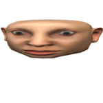 Realistic Head