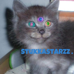 stukkastarzz