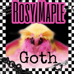 NEW Try an Buy Clothing Store /// Rosy Maple Goth