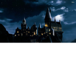 THE AMAZING HARRY POTTER GROUP