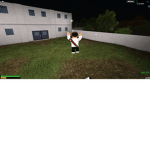 roblox gings